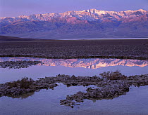 Telescope Peak reflected in a highly salty pool at dawn, Badwater Basin, Death Valley National Monument, California