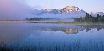 Vimy Peak and fog reflected in calm water of Lower Waterton Lake, dawn, Waterton Lakes National Park, Canada