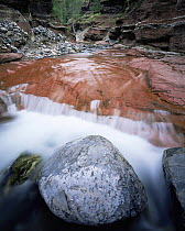Boulder in middle of Redrock Canyon with water flowing around it, Waterton Lakes National Park, Canada