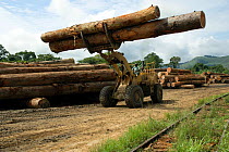 Tropical hardwood timber being loaded onto railway wagons for transporting to the coast (for shipping or processing), Nr Lope forest, Gabon, 2004