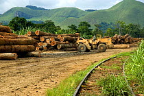 Tropical hardwood timber ready to be loaded onto railway wagons for transporting to the coast (for shipping or processing), Nr Lope forest, Gabon, 2004