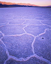Salt lake with crystalised patterns, Panamint Mountains in background, dawn, Death Valley National Park, California