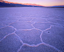 Salt lake with crystalised patterns, Panamint Mountains in background, dawn, Death Valley National Park, California