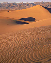 Ripples on sand dunes with Amargosa Mountains in background, Death Valley National Park, California