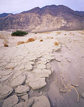 Eroded clay formations in sand dunes, Inyo Mountains in background, Saline Valley, Death Valley National Park, California