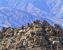 Weathered granite boulders with the Nelson Range in the background, southern end of Saline Valley, Death Valley National Park, California