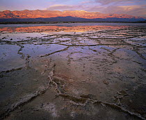 Salt crystal formations in partially crystalised salty lake, Panamint Range in distance with dawn light reflected in water, Death Valley National Park, California