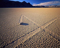 Boulder with zig-zag trails across a dry lake bed, sunset, Ubehebe Peak in distance, The Racetrack Playa, Death Valley National Park, California