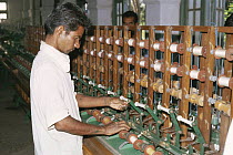 Khadi and Village Industries Commission (KVIC) production of silk from Silkworm moth {Bombyx mori} Mahabaleshwar, Andhra Pradesh, India