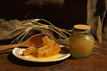 Jar of honey and honey comb from Honey bee {Apis mellifera} on plate with spoon,  Spain