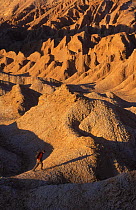 Solitary figure trekking in the desert, Atacama Desert, Chile