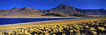 Laguna Miscanti, the Andes, Northern Chile
