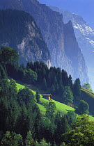 Alpine hut nr Wengen, Lauterbrunnen valley, Bernese Oberland, Switzerland