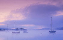 Boats on Windermere at dawn, Bowness-on-Windermere, Lake District National Park, Cumbria, England, UK