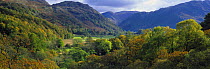 Borrowdale in the autumn, Lake District National Park, Cumbria, England, UK