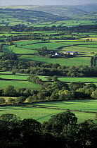 Rolling farmland, fields and hedges nr Brecon Beacons, Powys, Wales, UK
