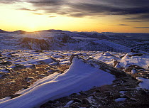 The sumiit of Cairn Gorm in winter at dusk, Cairngorms, Scotland, UK