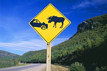 Road hazard sign (beware of moose), Gros Morne National Park, Newfoundland, Canada