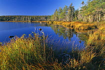 Benjies Lake, Cape Breton Highlands National Park, Nova Scotia, Canada