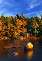 Autumn, Mersey River nr Kejimkujik National Park, Nova Scotia, Canada