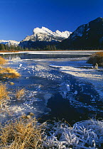 Winter at Lake Vermillion with Mount Rundle in the snow, Banff National Park, Alberta, Canada