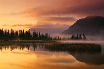 Reflections of Mt Rundle on Vermillion Lake on a misty dawn, Banff National Park, Alberta, Canada