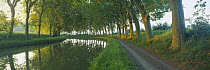 Tow path on the tree lined Canal du Midi nr Carcassonne, Languedoc, France
