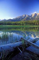 Dog Lake, Kootenay National Park, Canadian Rockies, British Columbia, Canada