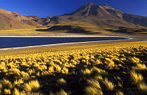 Laguna Miscanti & Cerro Miniques, The Andes, North Chile
