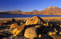 Laguna Miscanti and Cerro Miniques, The Andes, Northern Chile