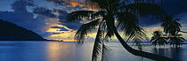 Dusk over Oponohu Bay, Moorea, French Polynesia (Tahiti)