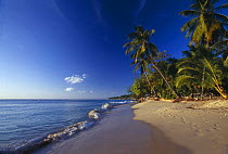 Beach at Mullins Bay, West Coast, Barbados