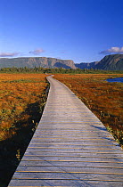 Boardwalk to Western Brook pond fiord, Gros Morne National Park, Newfoundland, Canada