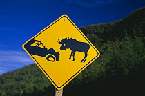 Moose Crossing Sign (beware), Gros Morne National Park, Newfoundland, Canada