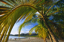 Relaxing on the beach, Playa Carillo, nr Sumara, Nicoya Peninsula, Guanacaste, Costa Rica