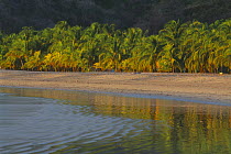 Playa Carillo, nr Sumara, Nicoya Peninsula, Guanacaste, Costa Rica