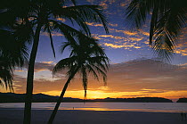 Solitary figure on Playa Sumara at sunrise, Nicoya Peninsula, Guanacaste, Costa Rica