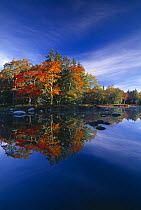 Autumn, Mersey River, nr Kejimkujik National Park, Nova Scotia, Canada