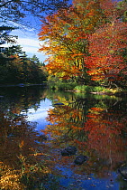 Autumn, Mersey River, Kejimkujik National Park, Nova Scotia, Canada