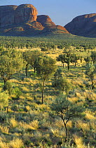 The Olgas, Kata Tjuta, Northern Territories, Australia