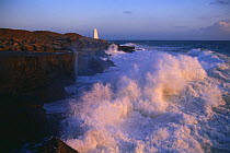 Heavy seas, large waves crashing against rocks, Portland, Dorset, England, UK