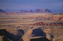 Desert landscape near Mexican Hat, Utah, USA