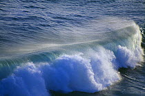 Wave, Cornwall, England, UK