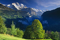 The Lauterbrunnen Valley in summer, Bernese Oberland, Switzerland