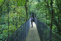 Woman on canopy trail through tropical rainforest nr Arenal, Zona Norte, Costa Rica