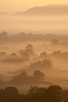 A misty dawn in the Blackmore Vale from Bulbarrow Hill, nr Okeford Fitzpaine, Dorset, England, UK