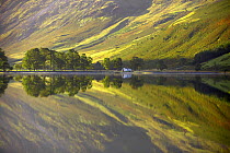 Reflections on the shore of Buttermere at dawn, Cumbria, Lake District, Cumbria, England, UK