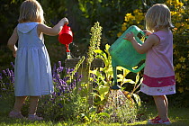 Children watering garden, Dorset, England, UK
