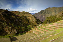 Inca terraces at Chincherro, nr Cusco, Peru
