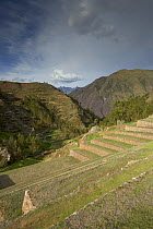 Inca terraces at Chincherro, nr Cusco, Peru